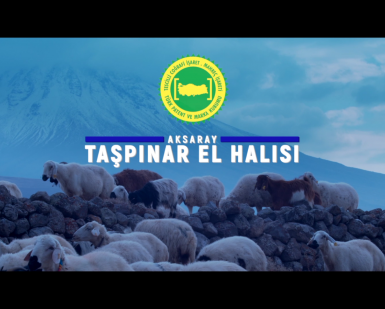 Aksaray Taşpınar Halısı Coğrafi İşaretli Ürün Tanıtım Filmi